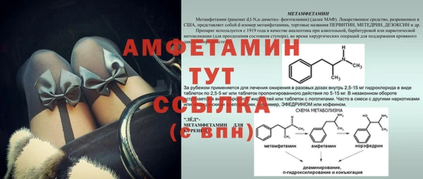 молекула духа Балахна