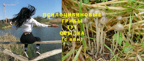 молекула духа Балахна