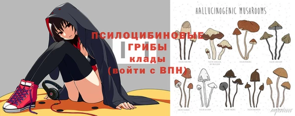 молекула духа Балахна