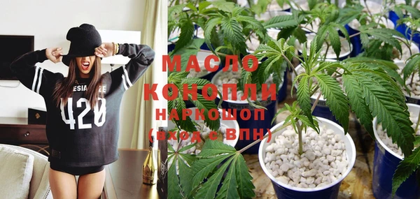 молекула духа Балахна