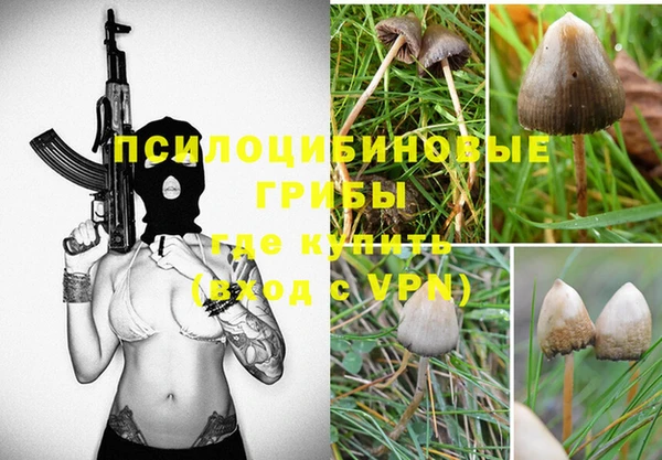 молекула духа Балахна