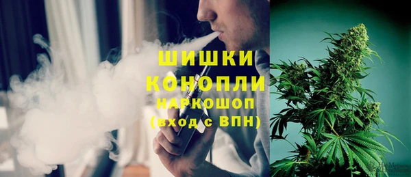 молекула духа Балахна